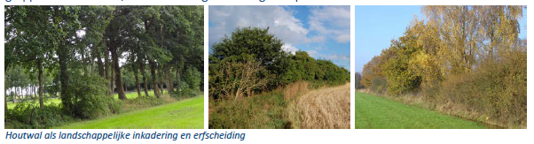 afbeelding "i_NL.IMRO.0307.BP00165-0301_0044.png"