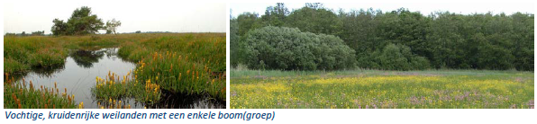 afbeelding "i_NL.IMRO.0307.BP00165-0301_0053.png"