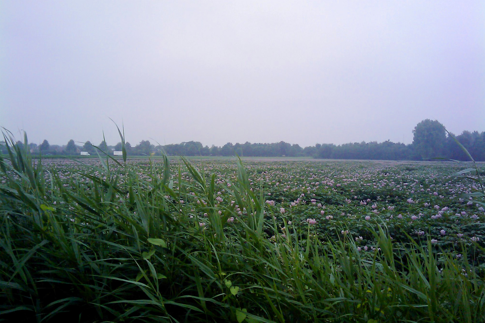 afbeelding "i_NL.IMRO.0851.wbBPrvrhoogstr-v001_0017.jpg"