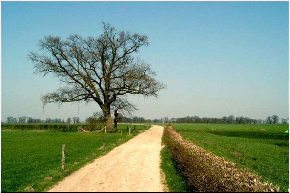afbeelding "i_NL.IMRO.1735.HVTBuitengebied-VS50_0013.jpg"