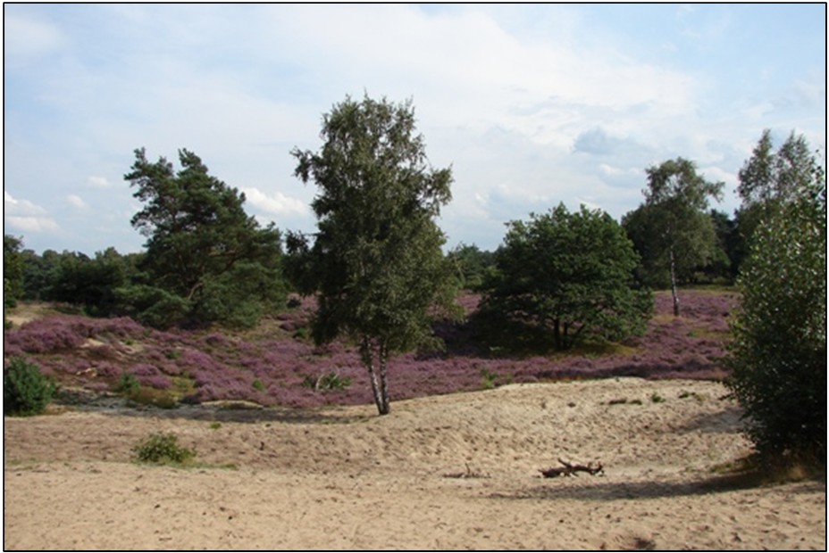 afbeelding "i_NL.IMRO.1735.HVTBuitengebied-VS50_0016.jpg"